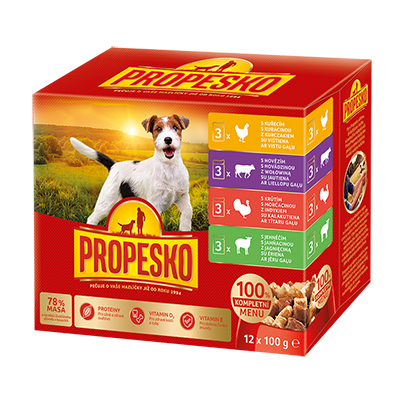 Propesko kapsička 12 x 100 g